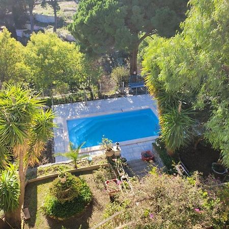 Apt 65 M2 Dans Villa Avec Piscine Banyuls Sur Mer Εξωτερικό φωτογραφία
