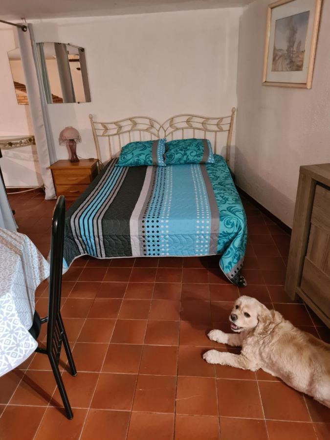 Apt 65 M2 Dans Villa Avec Piscine Banyuls Sur Mer Εξωτερικό φωτογραφία